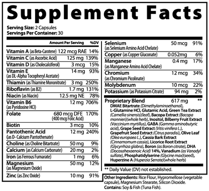 Brain Wave - Focus Formula