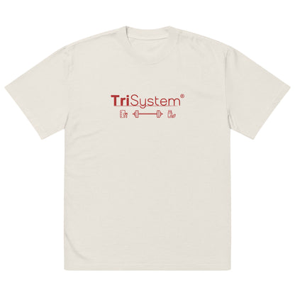 TriSystem Embroidered Oversized Faded T-Shirt